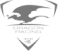 InstaForex - oficiálny partner Dragon Racing